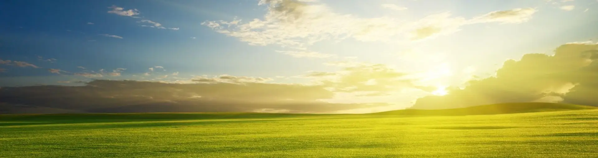 337 Header